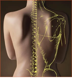 kinesiology